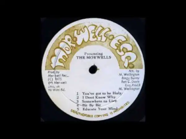 The Morwells - Bit by Bit